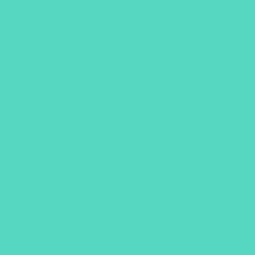 Siser® Easyweed Heat Transfer Vinyl - 15" X 1 YD