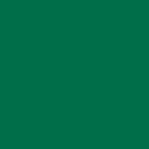 Siser® Easyweed Matte Heat Transfer Vinyl - 12" X 1 YD