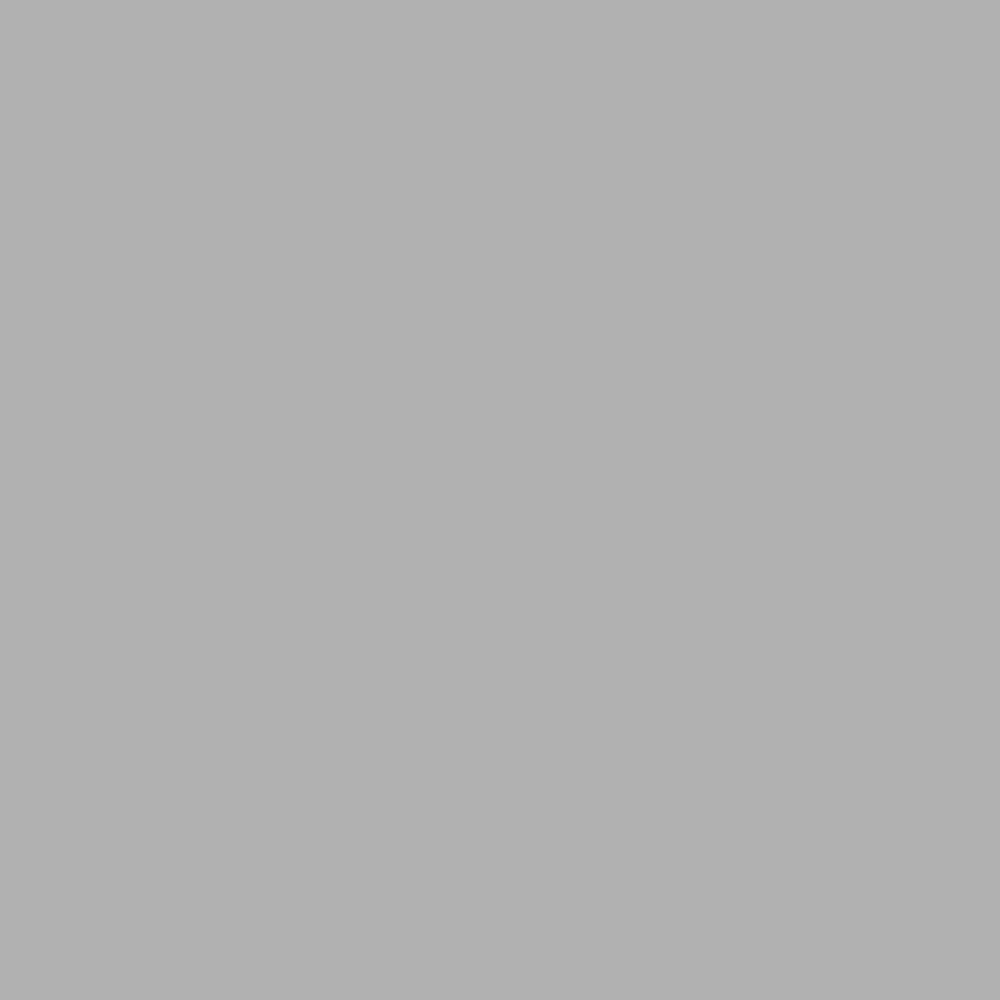 Siser® Cadflex Heat Transfer Vinyl - 20" X 1 YD