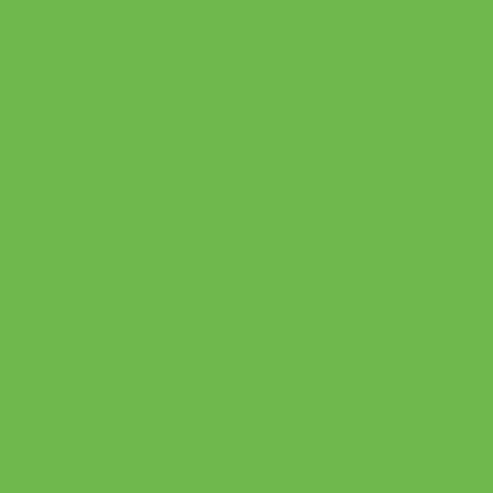 Easyweed Heat Transfer Vinyl - 12" X 1 YD