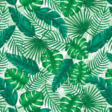 Easypatterns Plus Heat Transfer Vinyl Roll - 12" X 1 YD