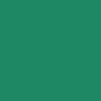 Easyweed Heat Transfer Vinyl - 12" X 1 YD